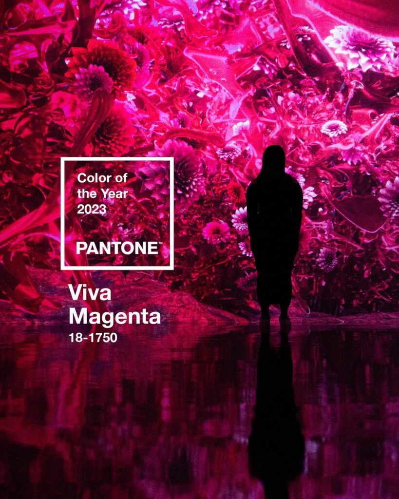 Pantone 2023: este es el color que marcará tendencia - Promopublic