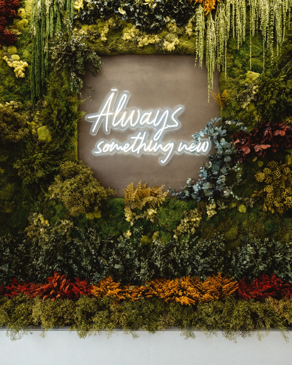 Rótulos luminosos 2 Rótulos luminosos 2