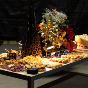 FOTOS FIESTA PROMOPUBLIC 40ANIV 2