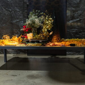 FOTOS FIESTA PROMOPUBLIC 40ANIV 52