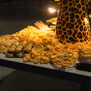 FOTOS FIESTA PROMOPUBLIC 40ANIV 53