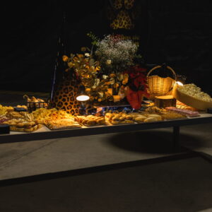 FOTOS FIESTA PROMOPUBLIC 40ANIV 54