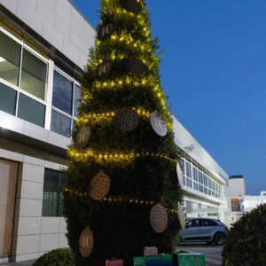 FOTOS FIESTA PROMOPUBLIC 40ANIV 58