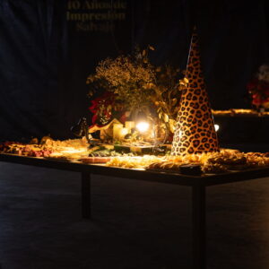 FOTOS FIESTA PROMOPUBLIC 40ANIV 83