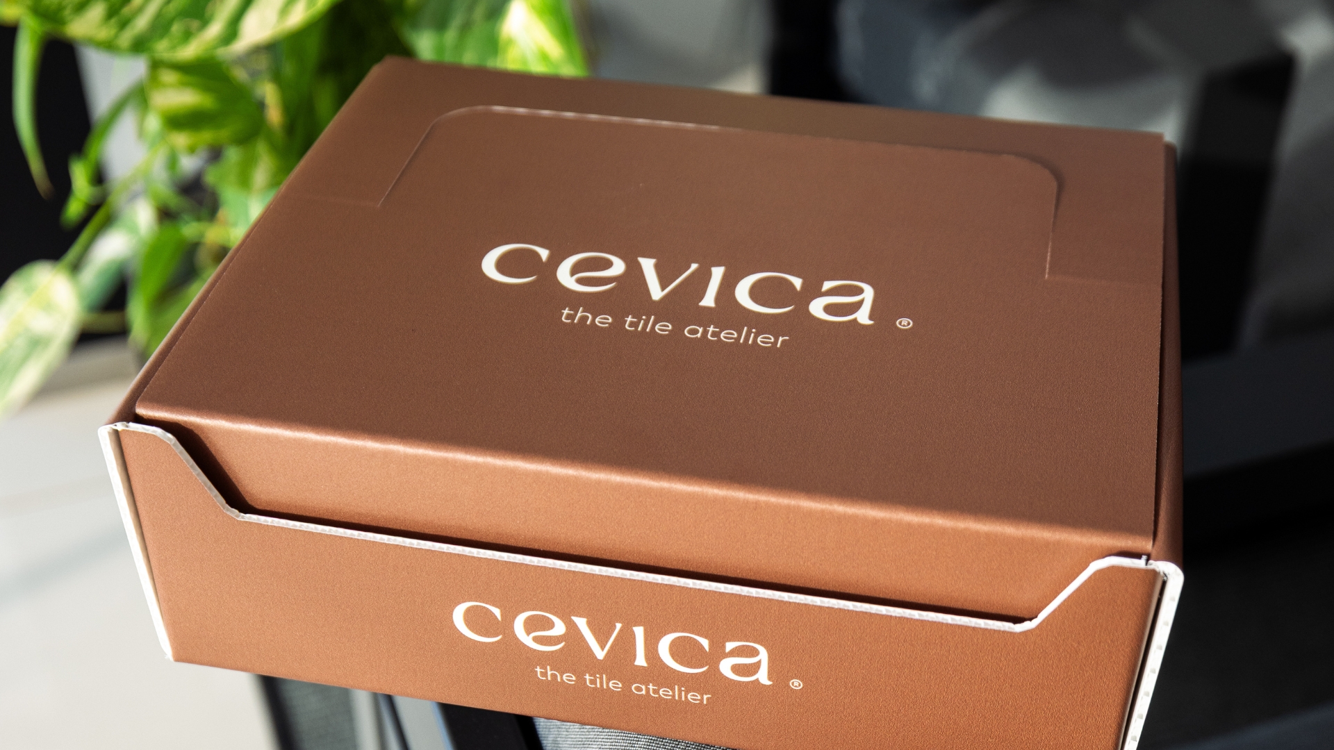 portada packaging